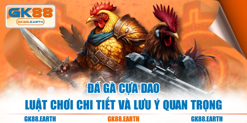 Đá Gà Cựa Dao - Luật Chơi Chi Tiết Và Lưu Ý Quan Trọng