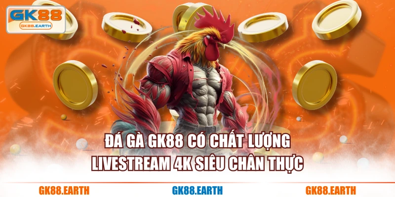 Đá Gà GK88 có chất lượng livestream 4K siêu chân thực