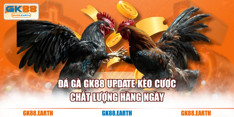 Đá Gà GK88 update kèo cược chất lượng hàng ngày