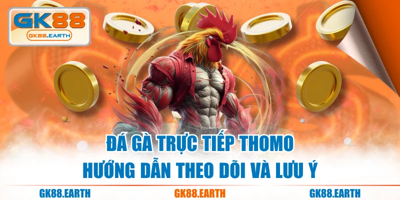 Đá Gà Trực Tiếp Thomo - Hướng Dẫn Theo Dõi Và Lưu Ý