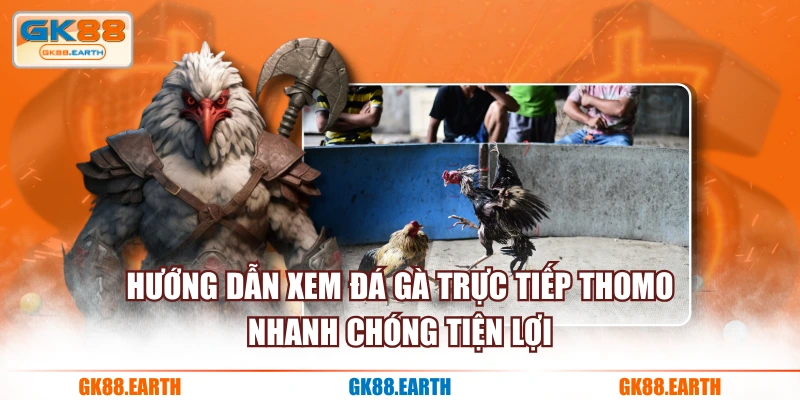 Hướng dẫn xem đá gà trực tiếp Thomo nhanh chóng tiện lợi
