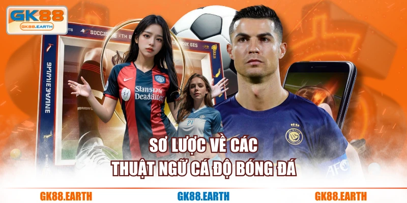 Sơ lược về các thuật ngữ cá độ bóng đá