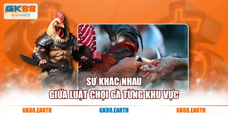 Sự khác nhau giữa luật chọi gà từng khu vực