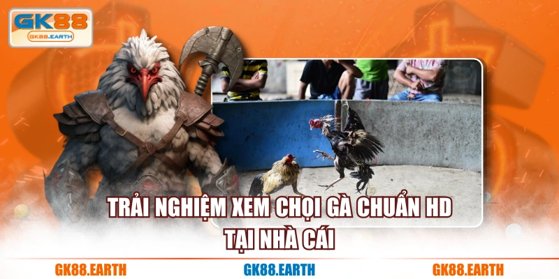 Trải nghiệm xem chọi gà chuẩn HD tại nhà cái