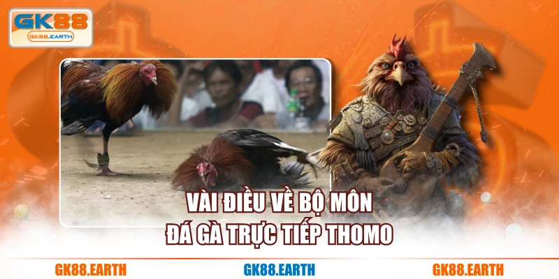 Vài điều về bộ môn đá gà trực tiếp Thomo